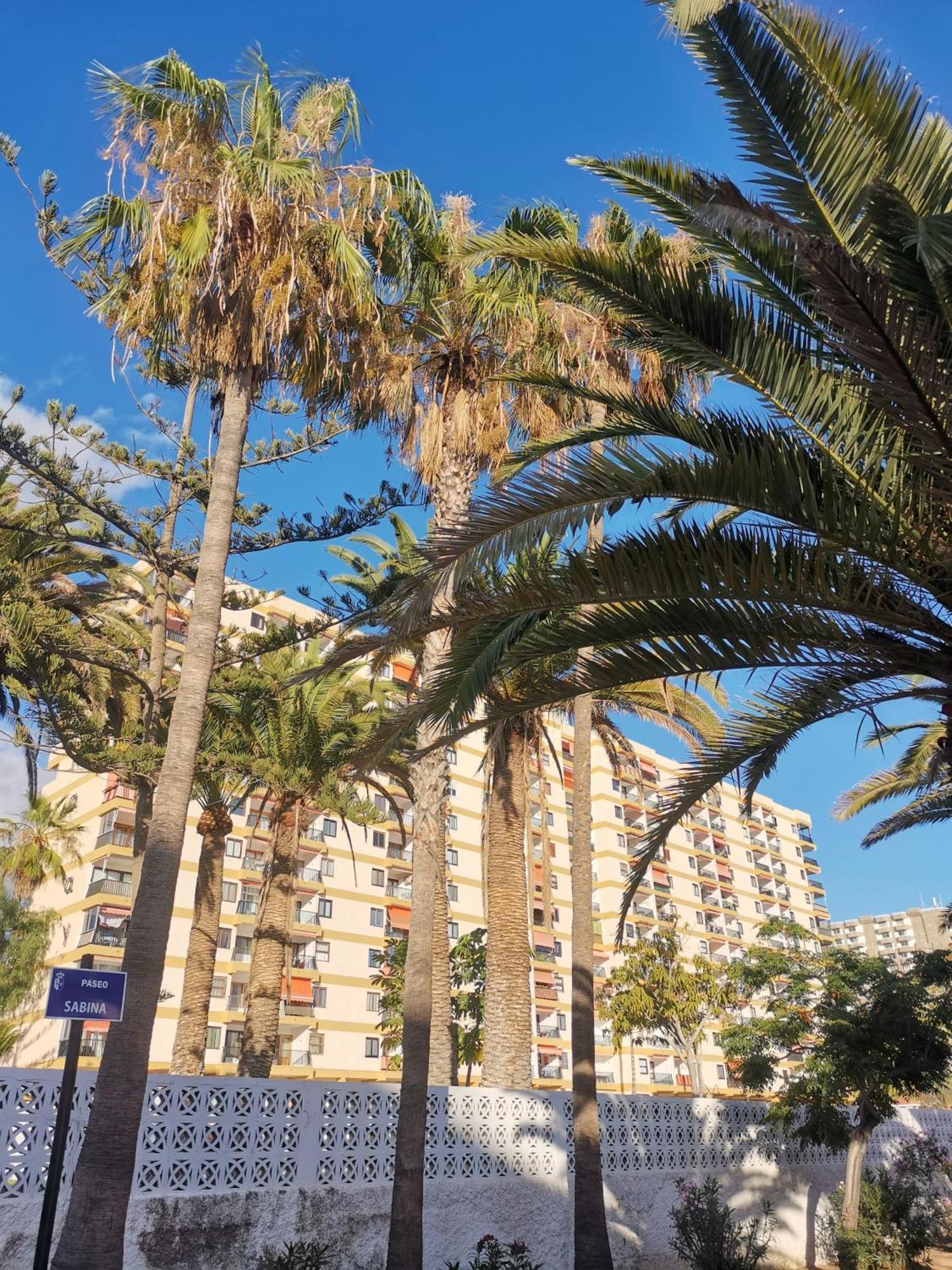 Los Cristianos Achacay Appartement Standing Vue Panoramique מראה חיצוני תמונה